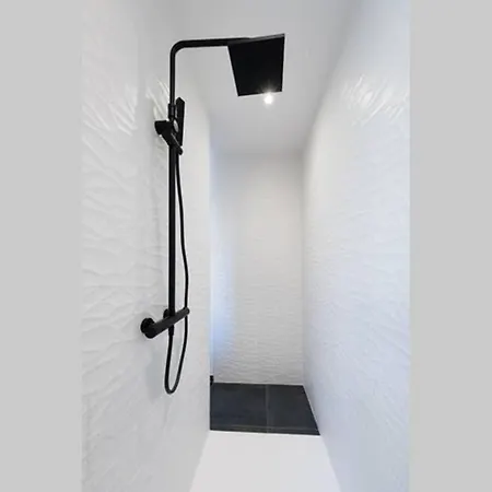 Les Pinsons -spa Sauna - 10 A 12 Pers ג'רארדמר