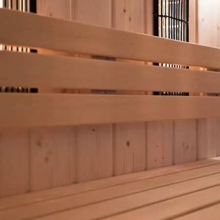Les Pinsons -spa Sauna - 10 A 12 Pers *